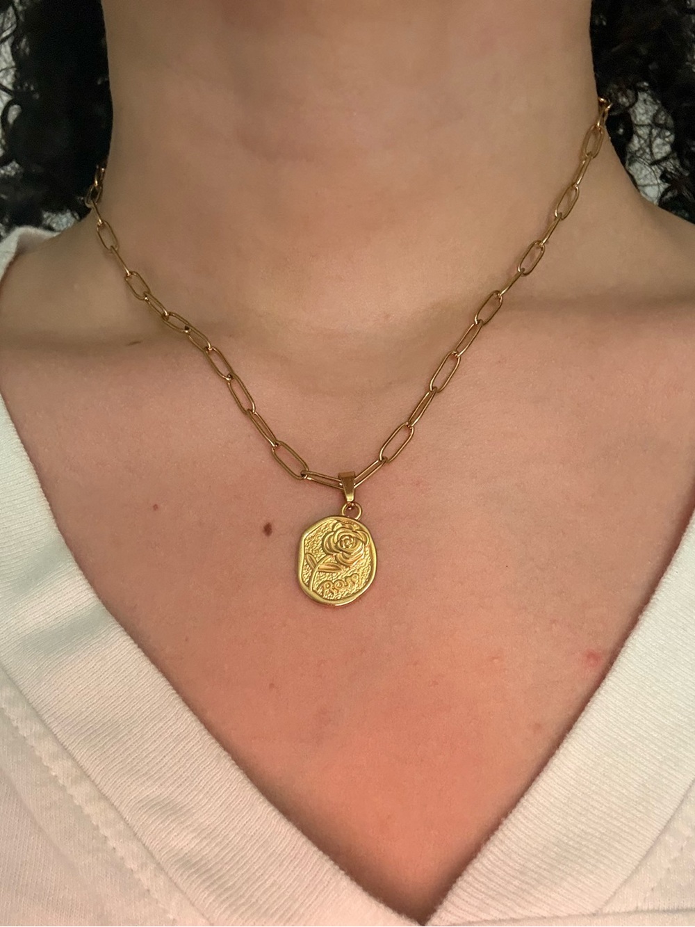 Gold Rose Coin Necklace – Paperclip Chain, Stainless Steel, Adjustable 16–22”